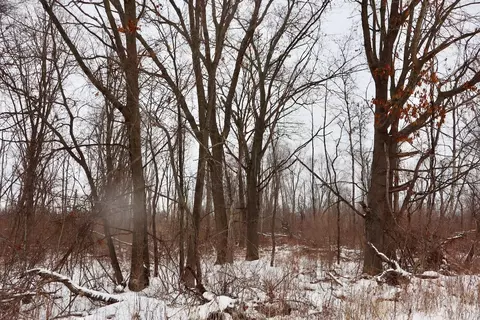 S Santiago, Au Gres, MI 48703 photo 5