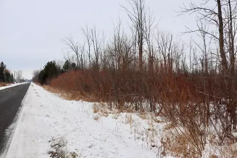 S Santiago, Au Gres, MI 48703 photo 9