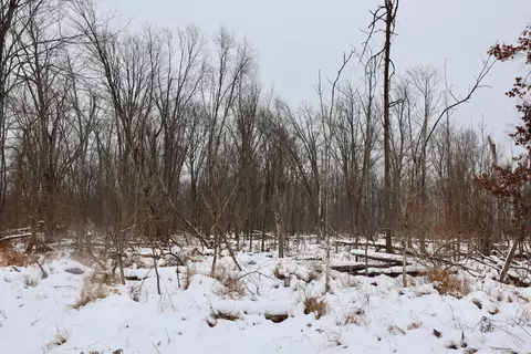 S Santiago, Au Gres, MI 48703 photo 19