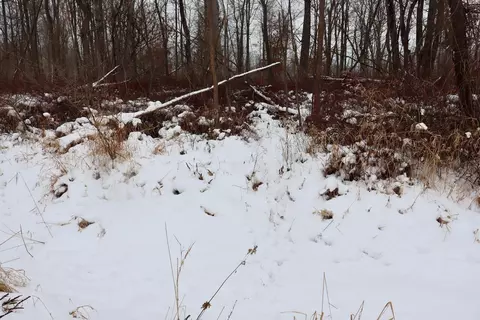 S Santiago, Au Gres, MI 48703 photo 18