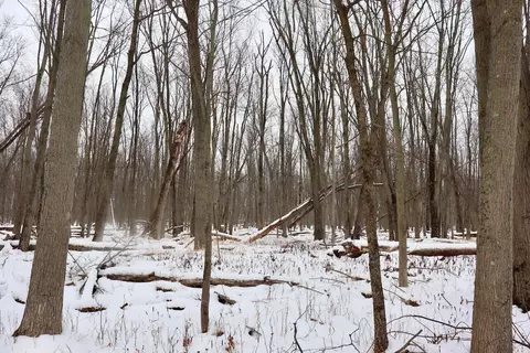 S Santiago, Au Gres, MI 48703 photo 21