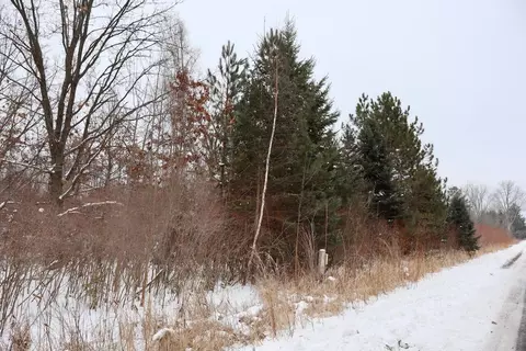S Santiago, Au Gres, MI 48703 photo 14