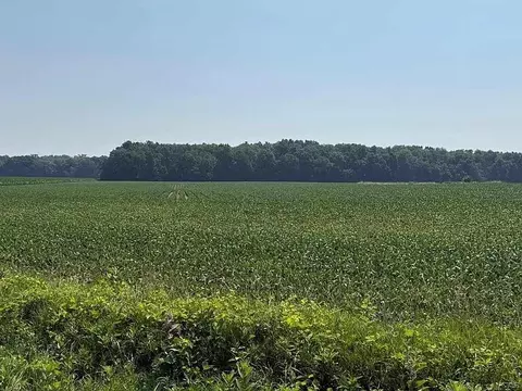 9088 Elliott, Morenci, MI 49256
