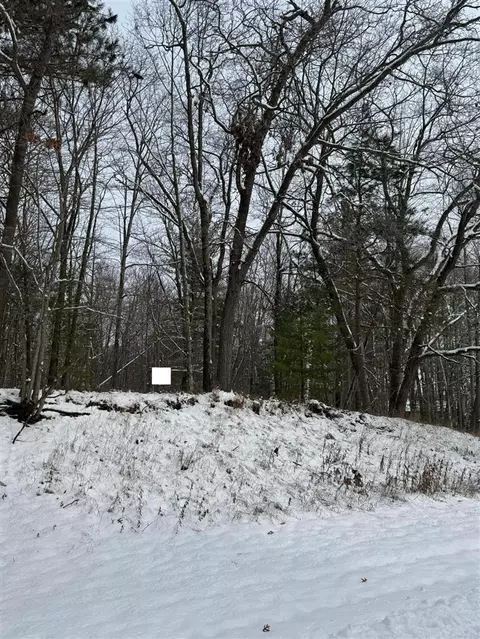 Oakridge, Oscoda, MI 48750
