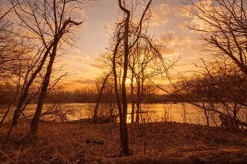 E River, Buchanan, MI 49107 photo 24