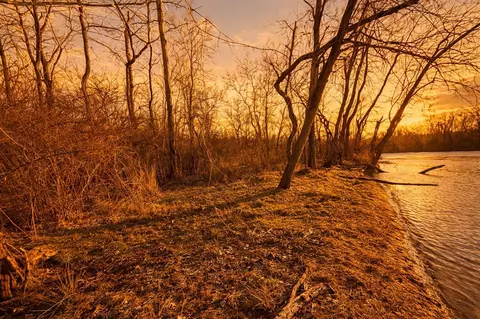 E River, Buchanan, MI 49107 photo 6