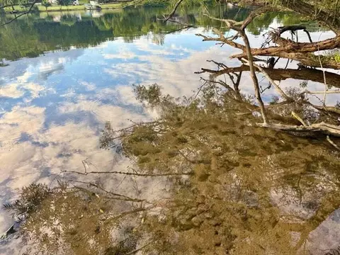 E River, Buchanan, MI 49107 photo 34