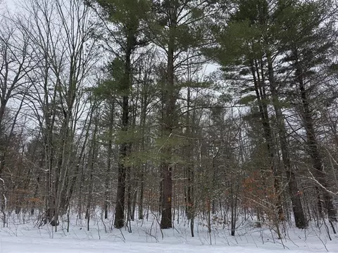 Coates, Brethren, MI 49619 photo 2