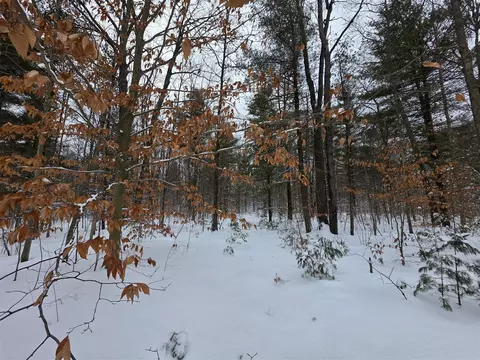 Coates, Brethren, MI 49619 photo 5