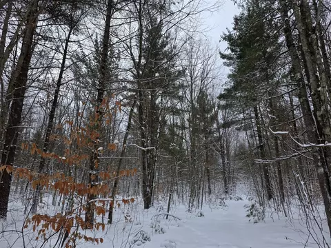 Coates, Brethren, MI 49619 photo 6