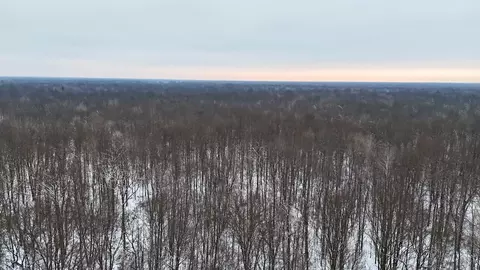 N Magruder, Coleman, MI 48618