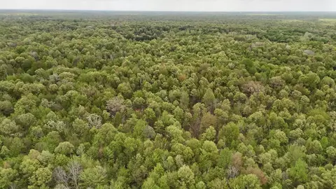 N Magruder, Coleman, MI 48618