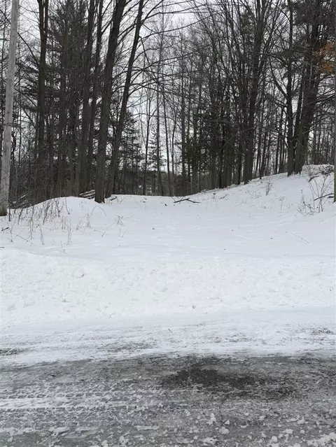 313 W Spruce, Big Rapids, MI 49307