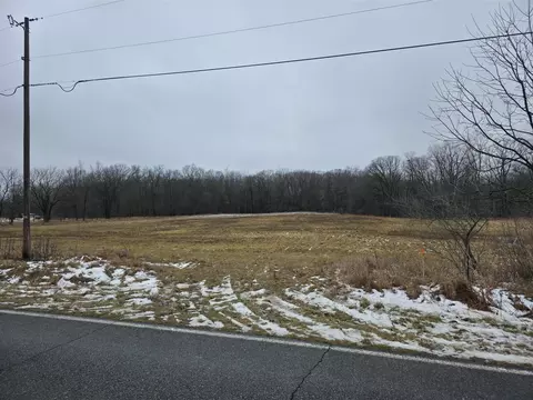 Fenner, Perry, MI 48872 photo 2