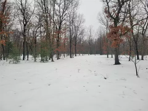 2155 E County Line, Free Soil, MI 49411