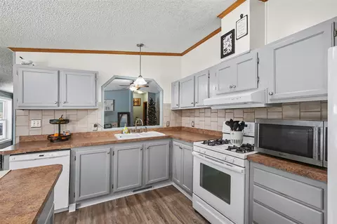 Kitchen - 272 S Tabor, Lyons, MI 48851 photo 3 of 3