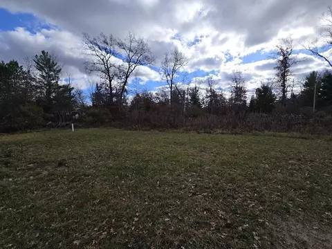 Exterior - 317 E Baldwin, Idlewild, MI 49642 photo 3 of 3
