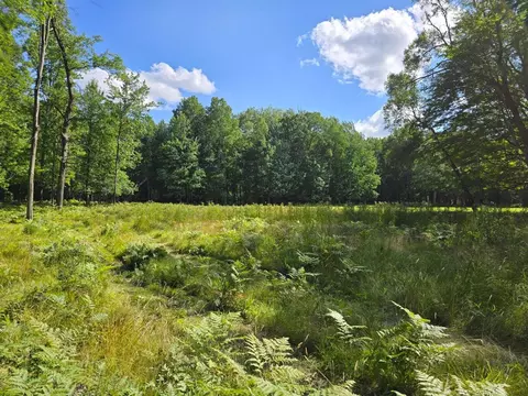 9397 Sunset, Stanwood, MI 49346