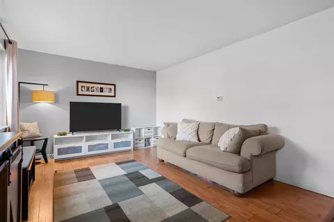 Living - 224 Wallace, Saline, MI 48176 photo 2 of 5