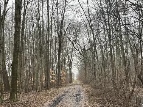 36 Th, Paw Paw, MI 49079