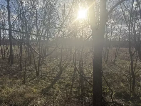 Eagle Pass, Eaton Rapids, MI 48827 photo 2