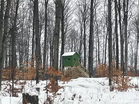 20350 Lindy, Copemish, MI 49625
