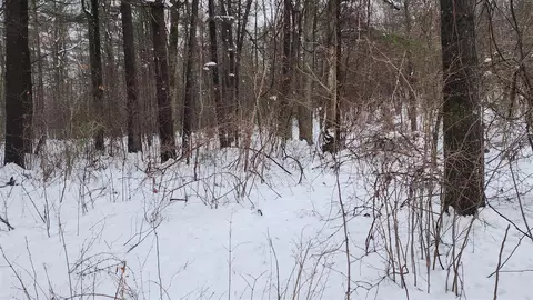 6908 E 18th, White Cloud, MI 49349