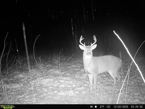 5111 Reading, Osseo, MI 49266 photo 6