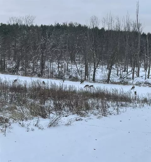5111 Reading, Osseo, MI 49266 photo 3