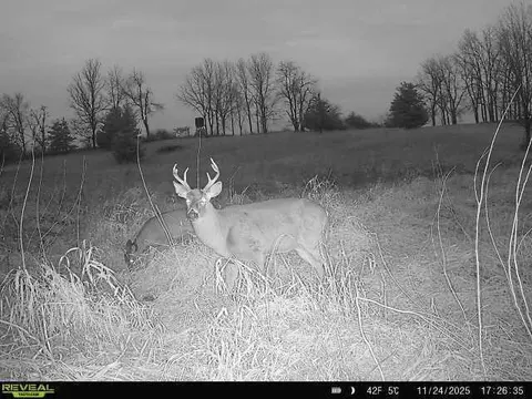 5111 Reading, Osseo, MI 49266 photo 7