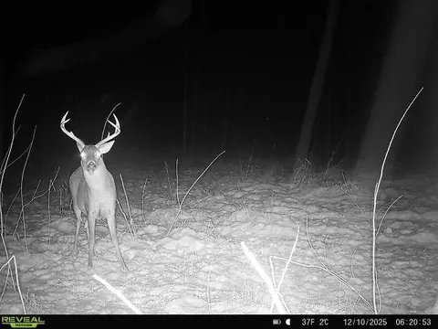 5111 Reading, Osseo, MI 49266 photo 5