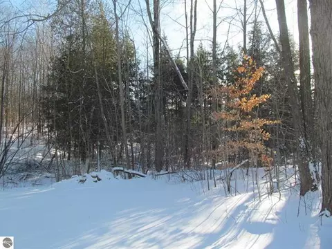 Other - 17166 50th, Marion, MI 49665 photo 7 of 12