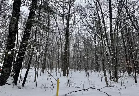 00 Saux, Big Rapids, MI 49307