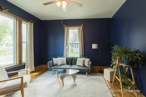 Living - 917 S S Brg, Belding, MI 48809 photo 4 of 4
