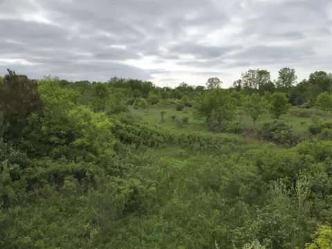 Bunkerhill, Jackson, MI 49201