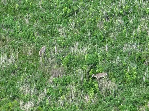 Bunkerhill, Jackson, MI 49201 photo 25