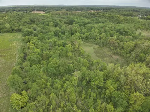 Bunkerhill, Jackson, MI 49201 photo 13