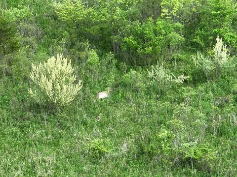 Bunkerhill, Jackson, MI 49201 photo 29
