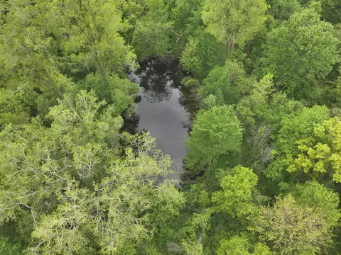 Bunkerhill, Jackson, MI 49201 photo 26