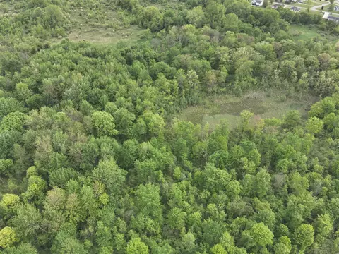 Bunkerhill, Jackson, MI 49201 photo 23