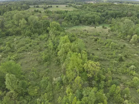 Bunkerhill, Jackson, MI 49201 photo 10