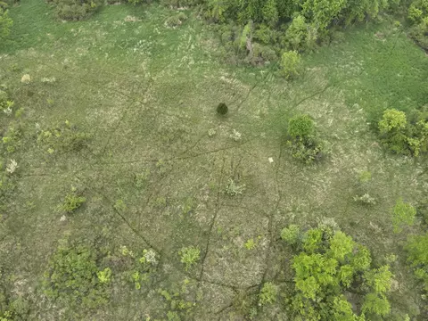 Bunkerhill, Jackson, MI 49201 photo 27