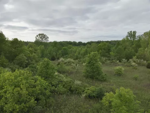 Bunkerhill, Jackson, MI 49201 photo 17