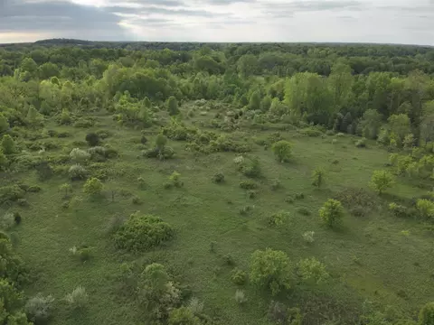 Bunkerhill, Jackson, MI 49201 photo 5
