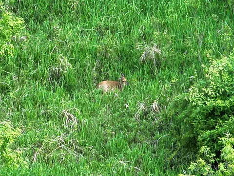 Bunkerhill, Jackson, MI 49201 photo 31
