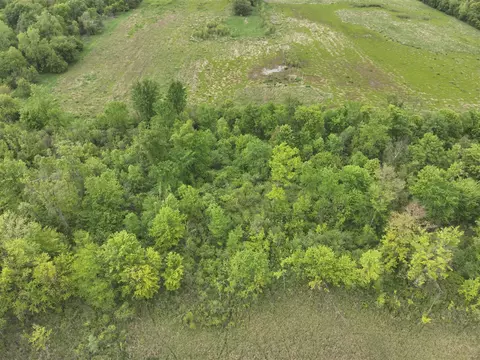 Bunkerhill, Jackson, MI 49201 photo 6
