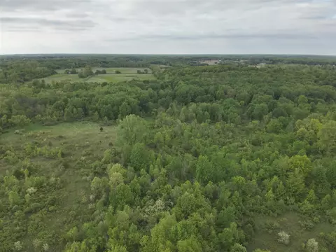Bunkerhill, Jackson, MI 49201 photo 18