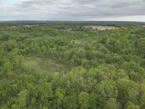 Bunkerhill, Jackson, MI 49201 photo 14