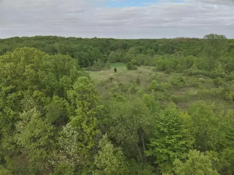 Bunkerhill, Jackson, MI 49201 photo 9