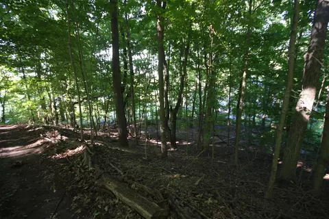 24 Heron, Plainwell, MI 49080 photo 46